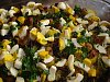 -dsc09432.jpg