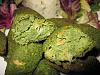 Pasteis de Bacalhau com Vegetais-img_4818.jpg