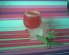 Cocktail de Melancia-img494.jpg