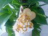 Milkshake by Su-img1105a.jpg