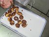 Bolas de Coco Ralado com Chocolate-parctica-ziua-4-027.jpg