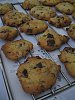 Bolachas com Pepitas de Chocolate e Nozes-bolachas-pepitas-chocolate-nozes.jpg