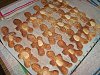 Bolachinhas-dsci3937.jpg