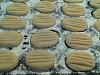 Biscoitos de Garfo-biscoitos-laranja-007.jpg