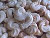 Biscoitos Lim�o II-biscoitos-limao-005.jpg