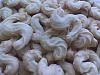 Biscoitos Lim�o II-biscoitos-limao-007.jpg