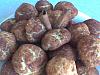 Biscoitos de Canela II-bolinhos-canela-002.jpg