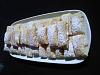 Folhados com Doce de Ovos e Am�ndoa-p210612_17.05_-02-.jpg