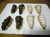 Cornocopias-sam_5260.jpg