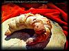 Croissants Recheados com Creme Arom�tico-sam_0582.jpg