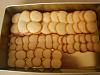 Linguas de Gato-p3250004.jpg