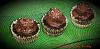 Brooklyn Blackout Cupcakes-12247915_1052230424848770_43675446242032155_o.jpg