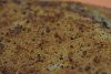 Bolo de Mel e Azeite-dsc01267.jpg