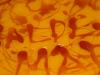 Bolo de Laranja Fofo com Doce D' Ovos e Caramelo-dscn0438.jpg