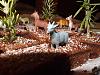 Bolo Chocolate H�mido III-dscf2920.jpg