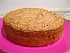 P�o-de-L� de Chocolate-pao-lo-chocolate.jpg