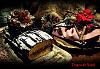 Tronco de Natal-dsc_0231.jpg