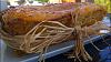 P�o Doce de Gila-sight_2015_04_05_114758_611.jpg