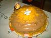 Ninho de P�scoa-user1112_pic625_1261343923.jpg