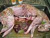 Coelho Assado no Forno com Especiarias Espiga-coelho-assado-especiarias-da-espiga-cru.jpg