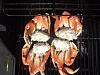 Grilled Dungeness Crab-dscf7572.jpg