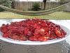 -dscf0546.jpg