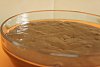 Mousse de Chocolate com Cookies de Chocolate-5602763530_c373aab29a_z.jpg