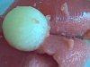 Doce Gelado de Melancia-nao-assim-004.jpg