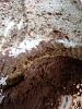 Del�cia de Mousse e Bolacha-foto1545.jpg