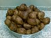 Malassadas de Batata Doce (Tradicional da Madeira)-24022010-004-.jpg.jpg
Visualiza��es: 43437
Tamanho: 77.2 KB
ID:	39812