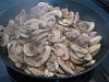 Cogumelos em Molho  com Ovo Escalfado-varios-1-012.jpg
