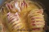 Batatas Livro (Hasselback)-34yxny8.jpg