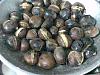 Castanhas Assadas no Fog�o-castanhas-assadas-007.jpg
