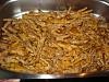 Pipis-dsc00764.jpg