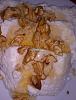 Requeij�o com Mel e Nozes-camerazoom-20121117210524959b.jpg