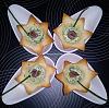 Canap�s de Queijo com Coentros e Anchovas-camerazoom-20121208141933030.jpg