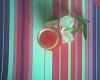 Eu Fiz Cocktail de Melancia-img480.jpg