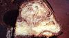 Eu Fiz Bolo M�rmore II-dsc01180.jpg