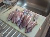 Eu Fiz Lulas � Pescador-img_3171.jpg