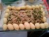 Eu Fiz Medalh�es de Pescada com Cebolada-foto-0073.jpg