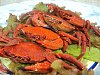 Eu Fiz Navalheiras ao Natural - Vermelho-dsc01856.jpg