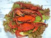 Eu Fiz Navalheiras ao Natural - Vermelho-dsc01850.jpg