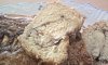 Eu Fiz Cake de Ma��-bolo-maca-3.jpg