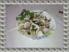 Eu Fiz Ameijoas � Bolh�o Pato da Neuza-sm2391449ea848a5e2ea6130819b59b4f6.jpg