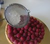 Eu Fiz Tarte de Framboesa e Creme de Baunilha-framb4.jpg