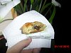 Eu Fiz Croissants de Chocolate Ultra R�pidos - Crian�as-cimg0130.jpg