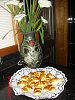 Eu Fiz Croissants de Chocolate Ultra R�pidos - Crian�as-cimg0127.jpg