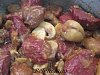 Eu Fiz Veado com Castanhas - Castanhas-5yg7rk.jpg