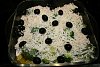 Eu Fiz Medalh�es de Pescada com Br�culos Gratinados-img_4824.jpg
