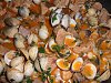 Eu Fiz Carne de Porco � Alentejana-sam_0061.jpg